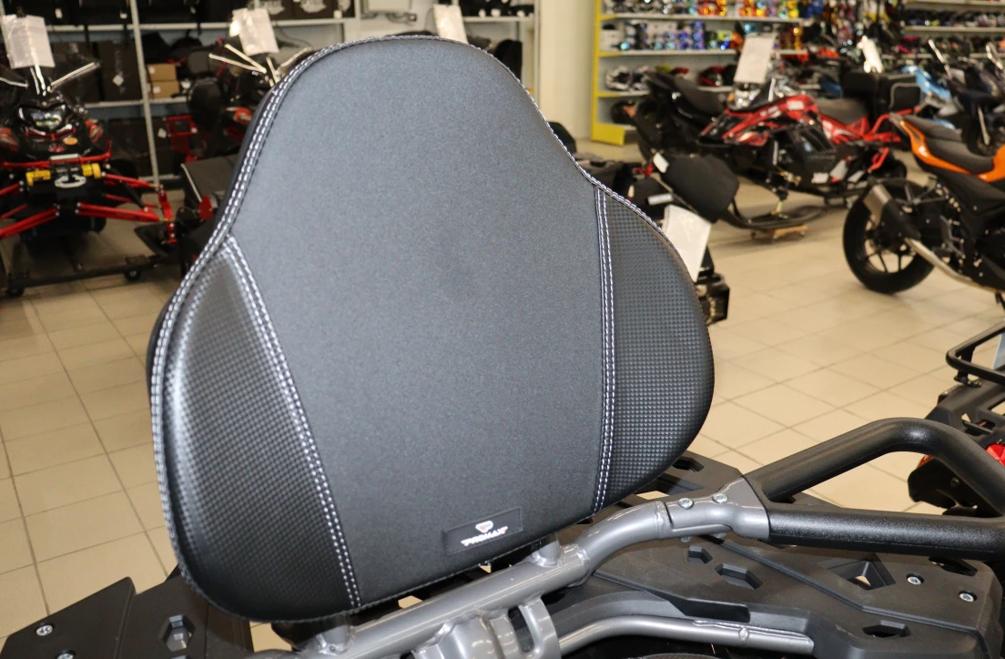 Квадроцикл PROMAX RENEGADE 300 LONG WINCH PRO (2025) в Первоуральске