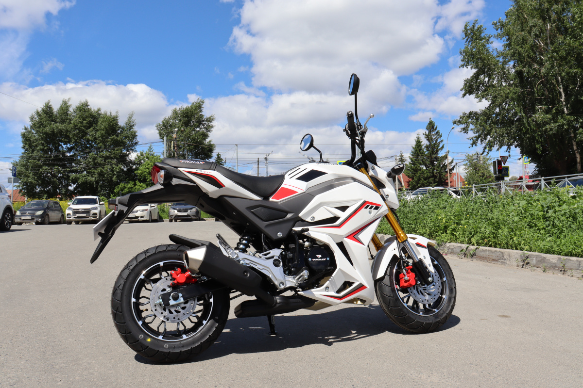 Мотоцикл PROMAX STRYKER 200(49) 2.0 в Первоуральске