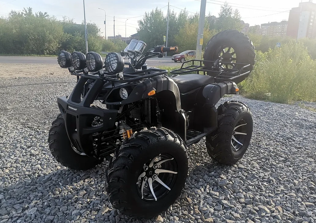 Квадроцикл PROMAX LEO 300 Max (кардан) в Первоуральске
