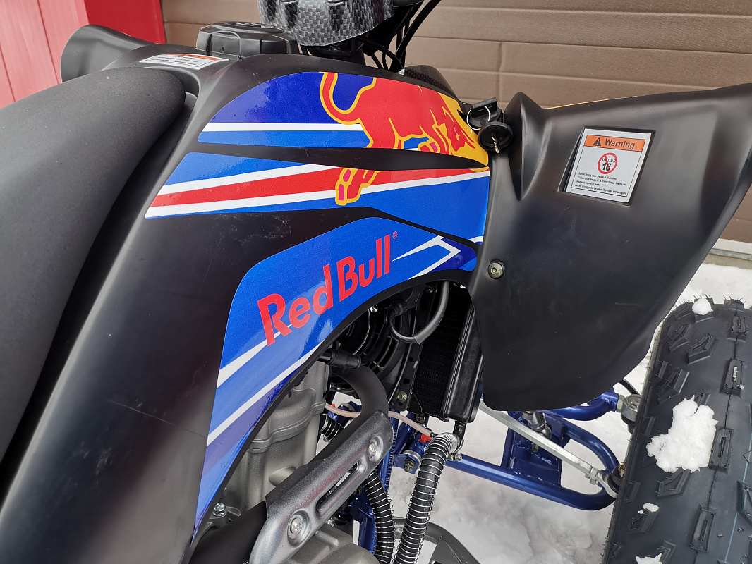 Квадроцикл PROMAX RAPTOR 300 NEW RedBull в Первоуральске