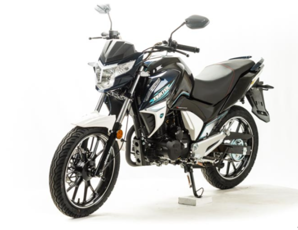 Мотоцикл MOTOLAND (МОТОЛЕНД) FIGHTER 250 в Первоуральске