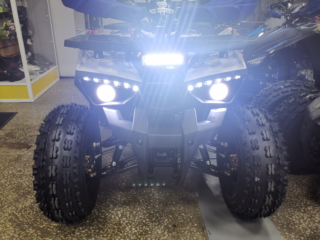 Квадроцикл PROMAX WILD 175 LUX в Первоуральске