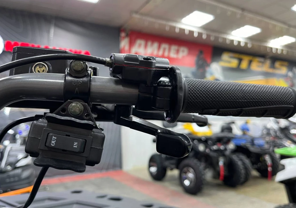 Квадроцикл PROMAX RENEGADE 300 LONG WINCH PRO (2025) в Первоуральске