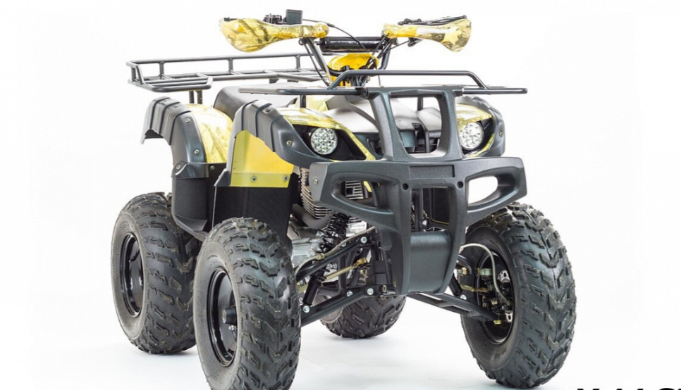 Квадроцикл MOTOLAND (МОТОЛЕНД) 250 ADVENTURE в Первоуральске