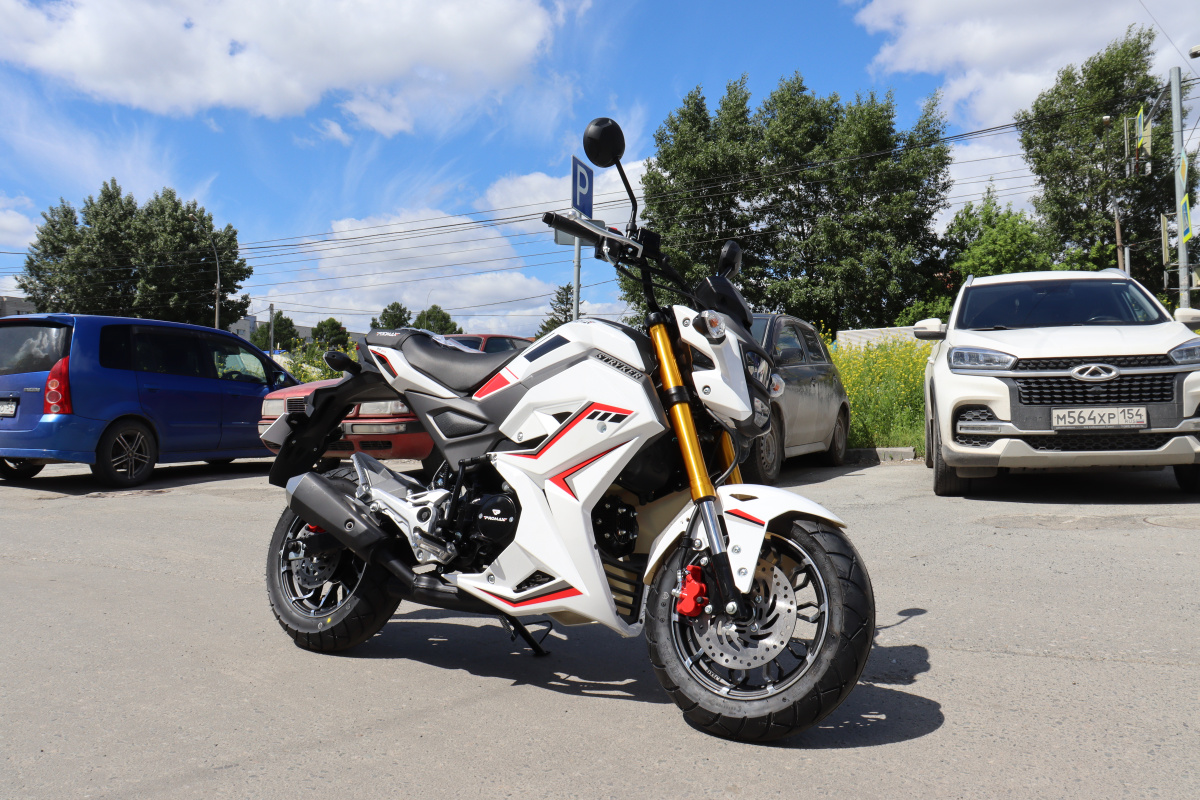 Мотоцикл PROMAX STRYKER 200(49) 2.0 в Первоуральске