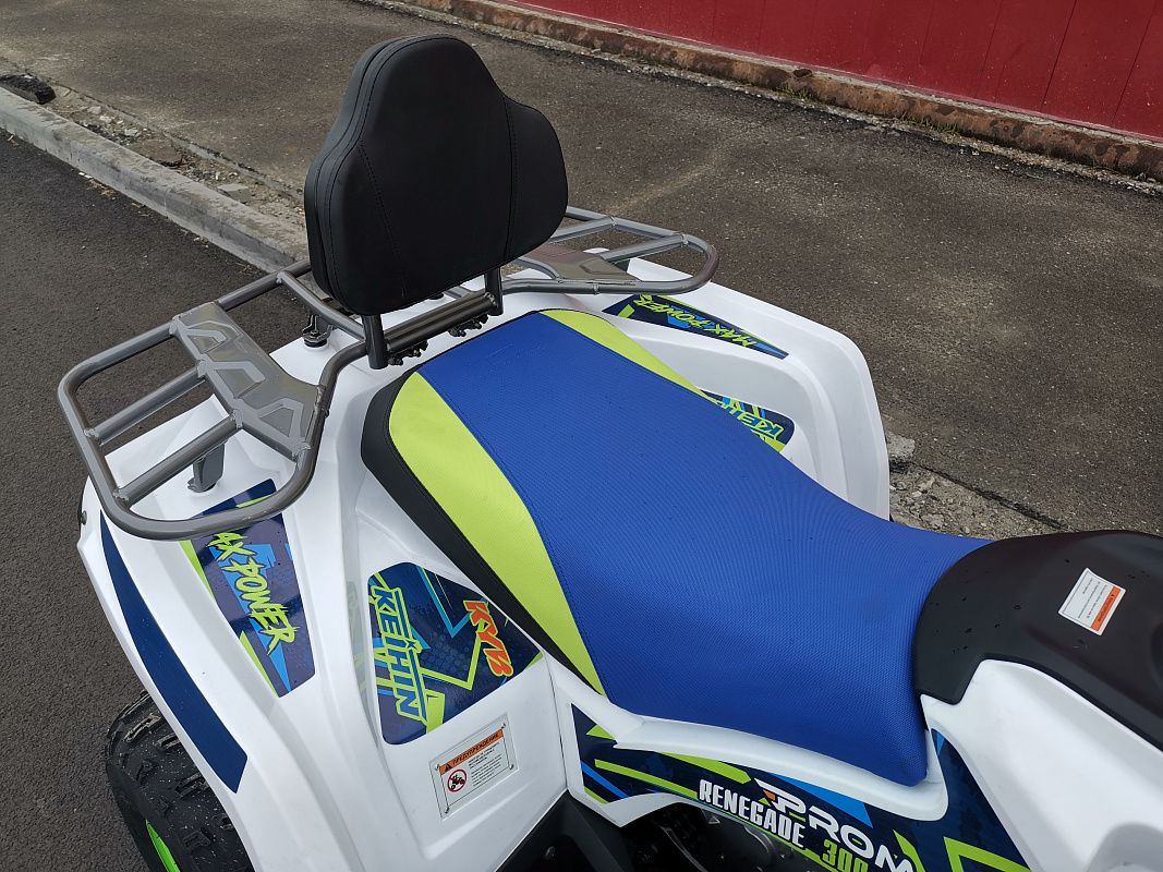 Квадроцикл PROMAX RENEGADE 280 LUX (2025) в Первоуральске