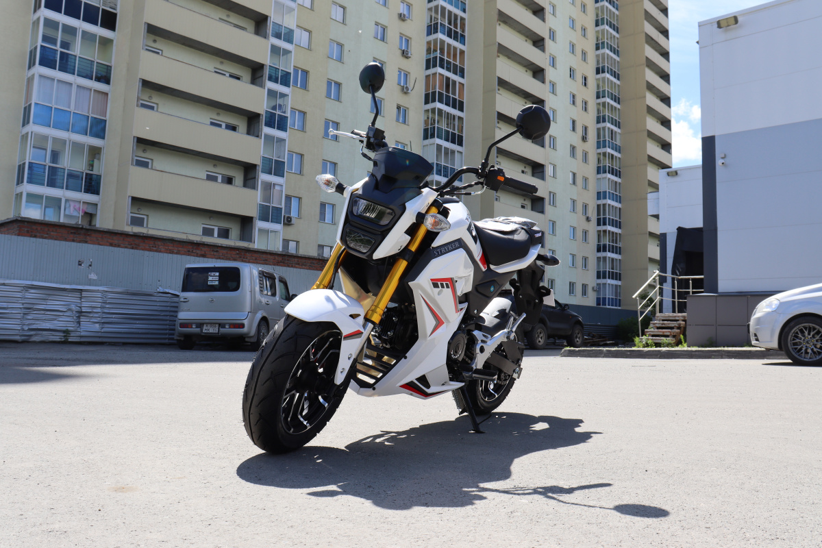 Мотоцикл PROMAX STRYKER 200(49) 2.0 в Первоуральске