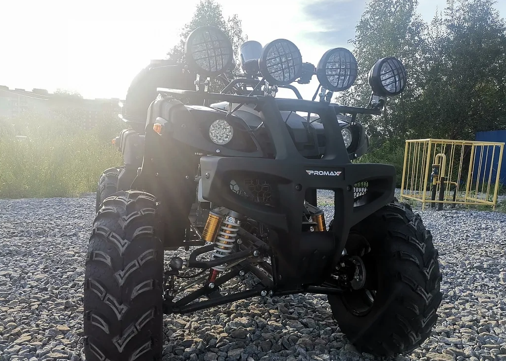 Квадроцикл PROMAX LEO 300 Max (кардан) в Первоуральске