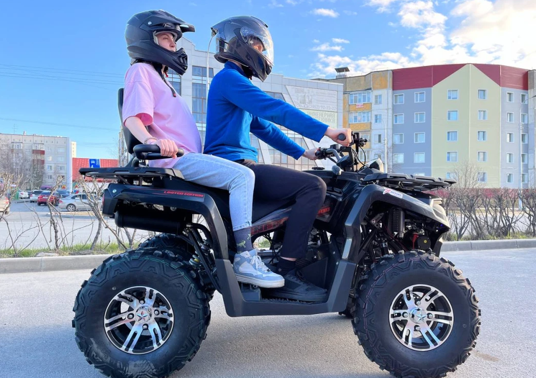 Квадроцикл PROMAX RENEGADE 300 LONG WINCH PRO (2025) в Первоуральске