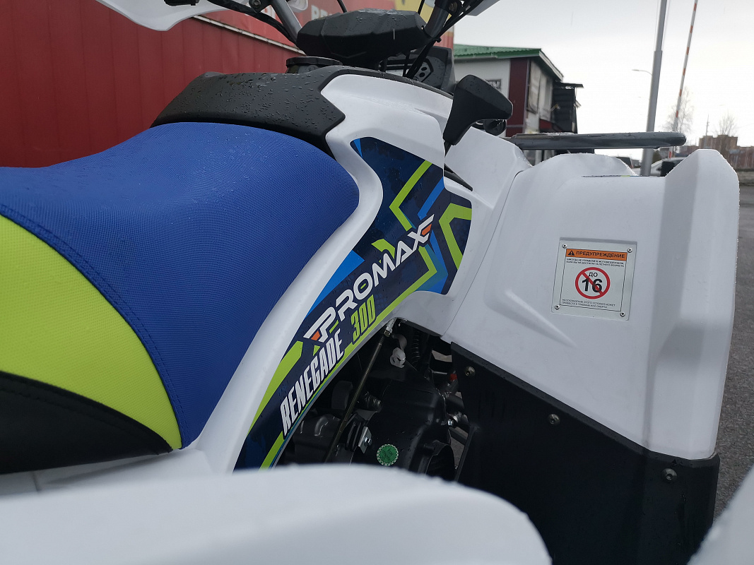 Квадроцикл PROMAX RENEGADE 280 LUX (2025) в Первоуральске