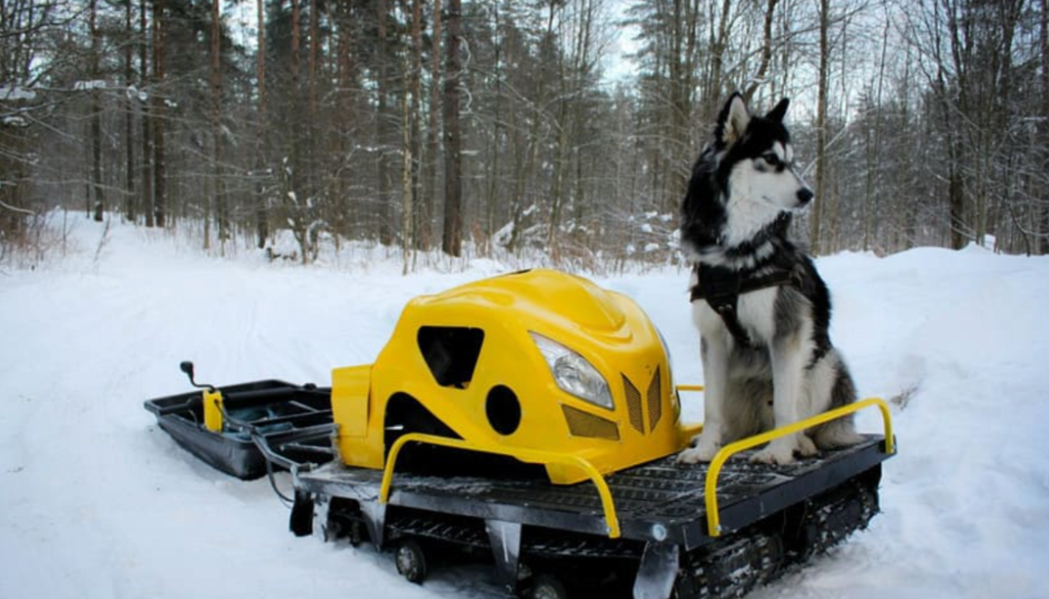 Мотобуксировщик LEBEDEV MOTORS ВОЛКОДАВ POWER V13 в Первоуральске