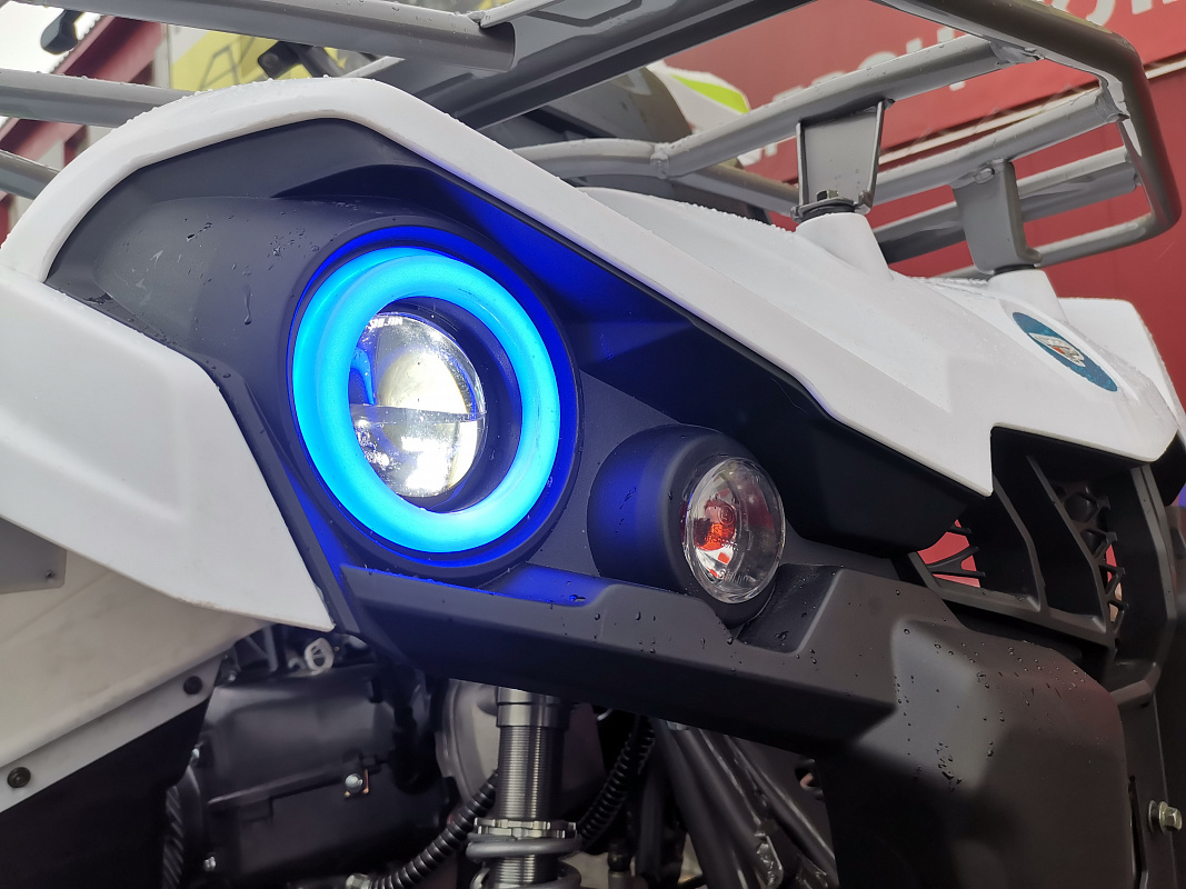 Квадроцикл PROMAX RENEGADE 280 LUX (2025) в Первоуральске