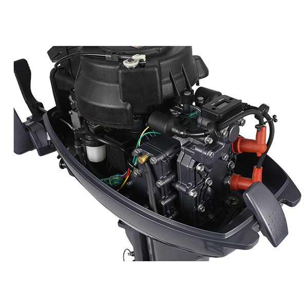 ЛОДОЧНЫЙ МОТОР ALLFA CG Т9,9 Limit в Первоуральске