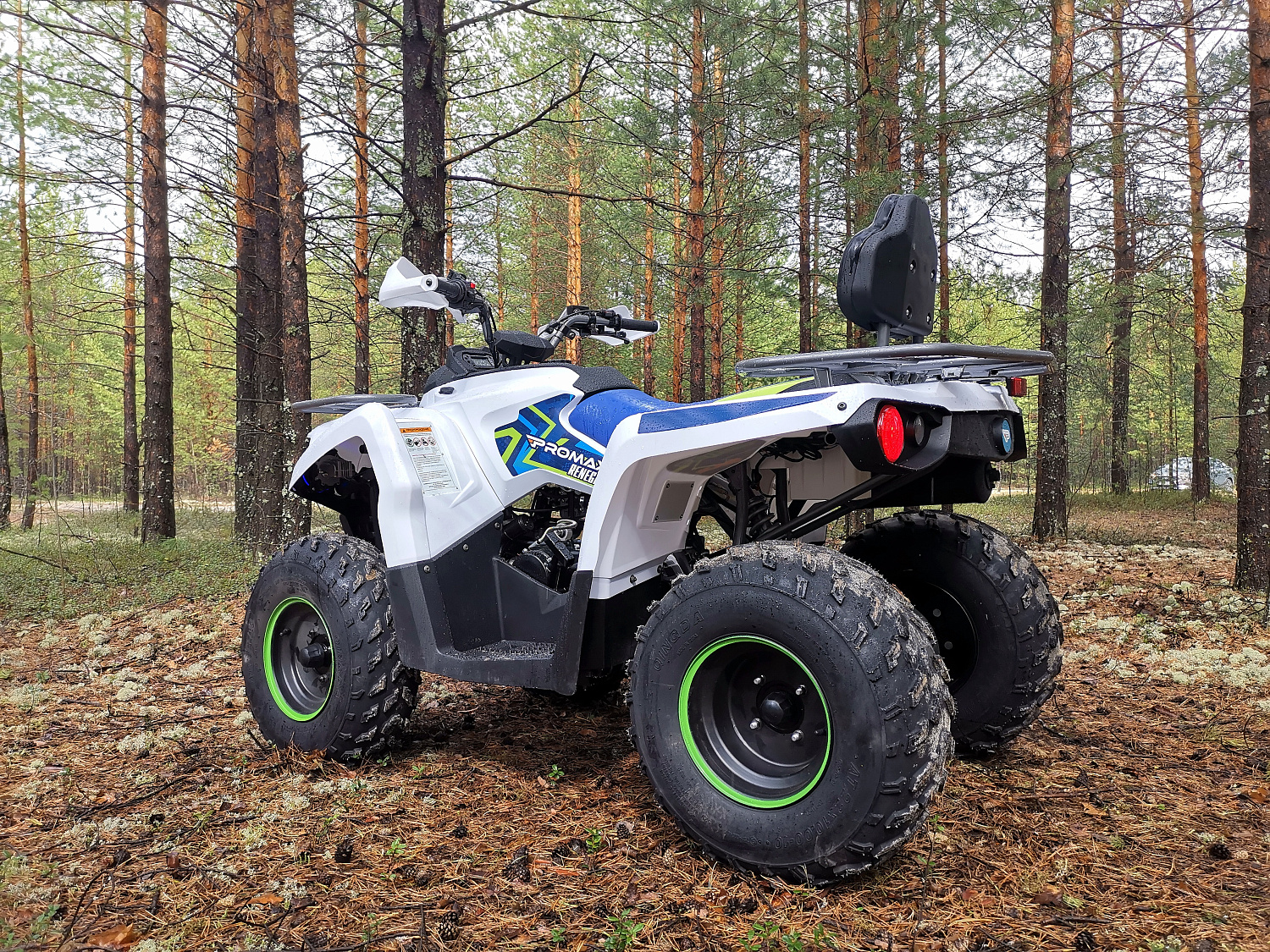 Квадроцикл PROMAX RENEGADE 280 (2025) в Первоуральске