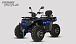 Квадроцикл PROMAX TAURUS 300 MAX-PRO LONG в Первоуральске