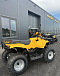 КВАДРОЦИКЛ IRBIS ATV 250  в Первоуральске