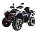 Квадроцикл MOTOLAND (МОТОЛЕНД) 300 MAX X в Первоуральске