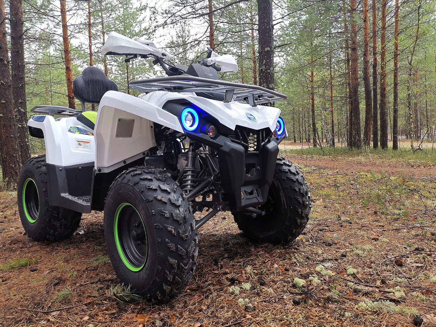 Квадроцикл PROMAX RENEGADE 280 (2025) в Первоуральске