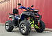  Квадроцикл PROMAX ATV 250 MAX (2025) в Первоуральске