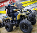 Квадроцикл PROMAX ATV 250 (2025) в Первоуральске