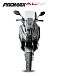 МаксиСкутер PROMAX-HONDA ADV 150 (49) (Inspired by HONDA) в Первоуральске