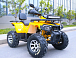 Квадроцикл MOTOLAND (МОТОЛЕНД) VOX200 WILD TRACK X PRO (баланс. вал) в Первоуральске