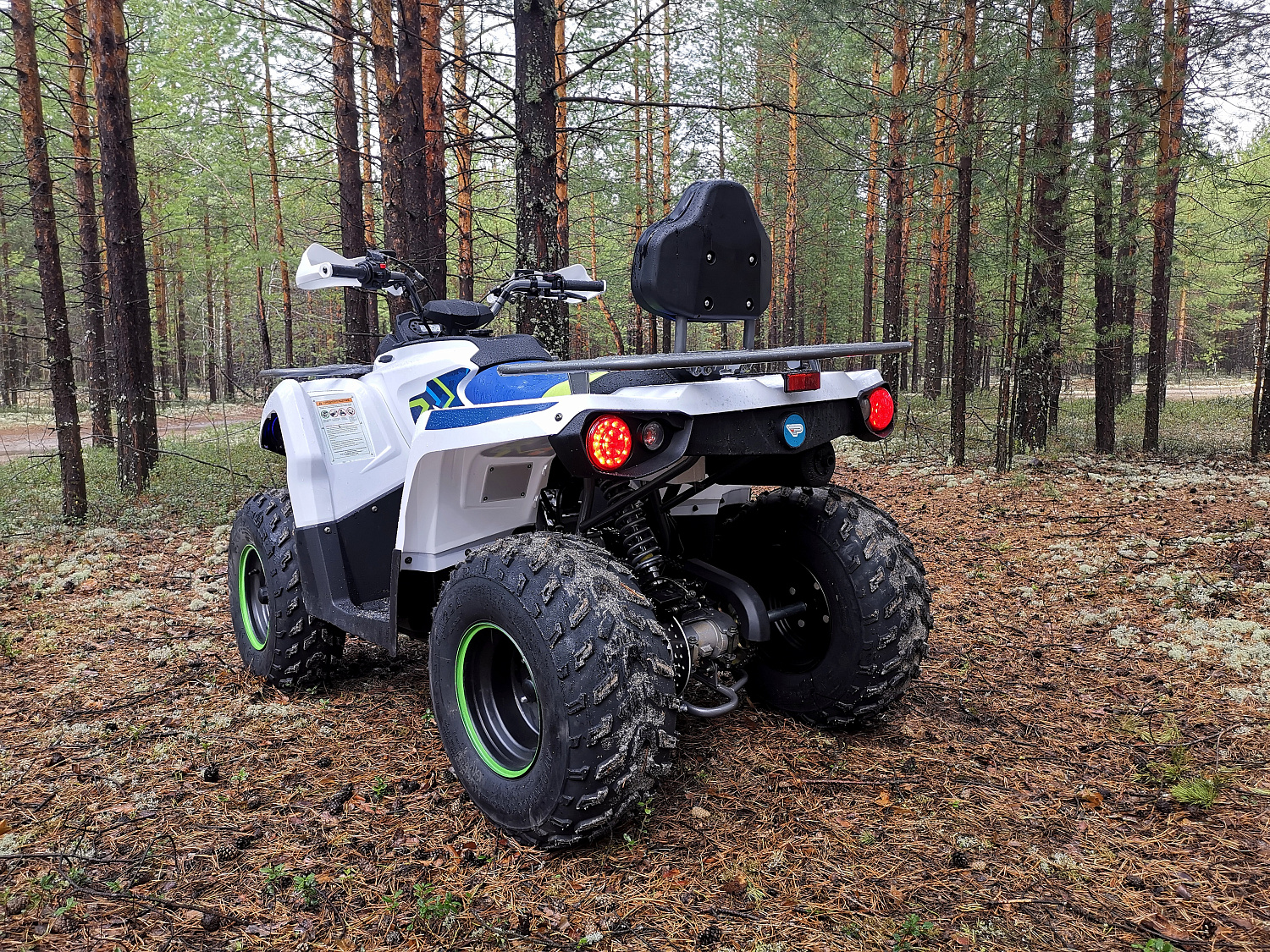Квадроцикл PROMAX RENEGADE 280 (2025) в Первоуральске