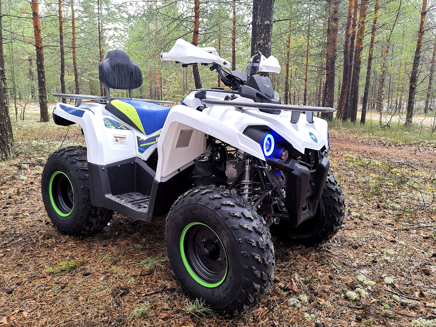 Квадроцикл PROMAX RENEGADE 280 (2025) в Первоуральске