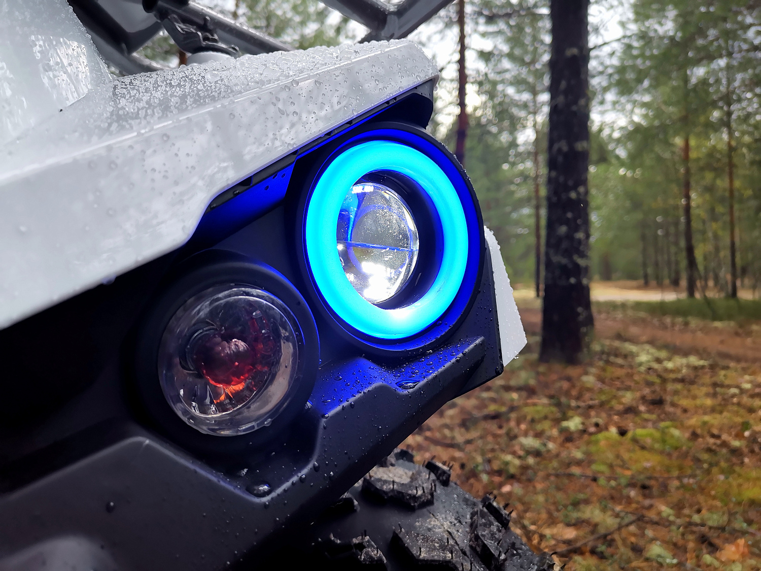 Квадроцикл PROMAX RENEGADE 280 (2025) в Первоуральске