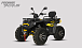 Квадроцикл PROMAX TAURUS 300 MAX-PRO LONG в Первоуральске